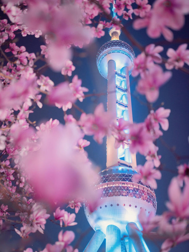 China in March: Where Spring Awakens – Five Essential Destinations for the Perfect Journey