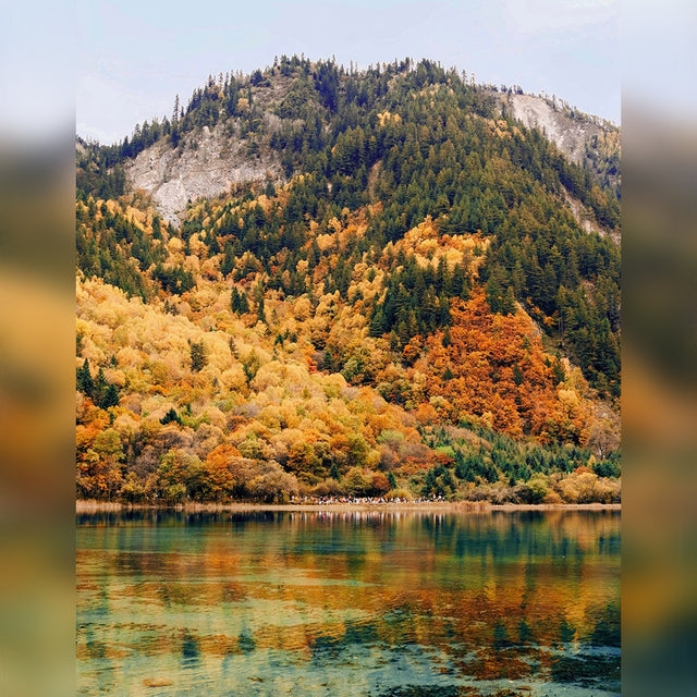 8D7N Chongqing Chengdu Jiuzhaigou Mini Small Group Tour