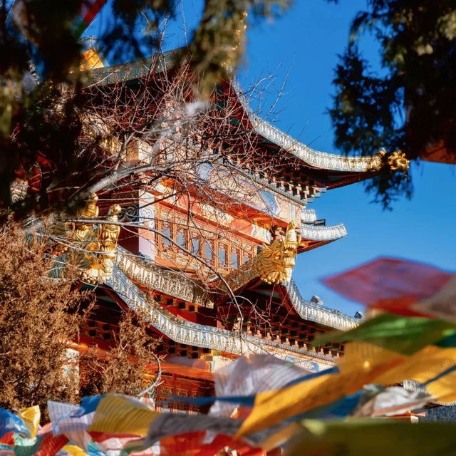 Kunming Dali Lijiang Shangri-La Xishuangbanna 10 Days 9 Nights Small Group Tour