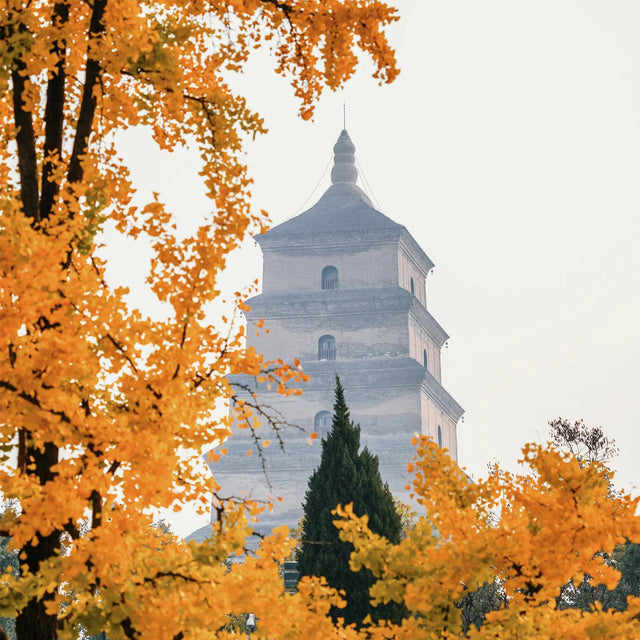 4-Day Xi’an Tour Itinerary