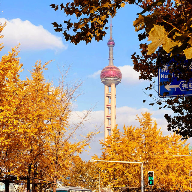 3 Days in Shanghai: A Journey of Ancient and Modern Times