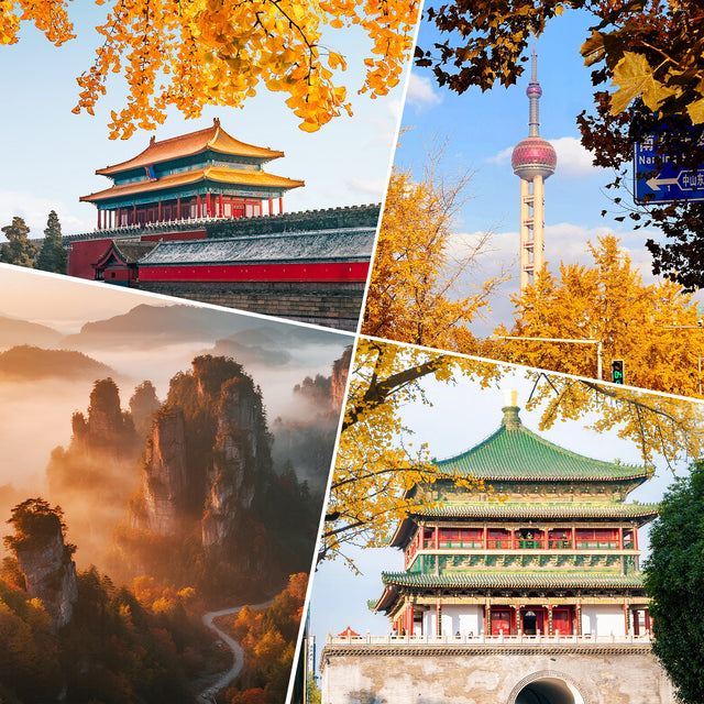 11-Day Classic Journey Through Shanghai, Zhangjiajie, Xian & Beijing