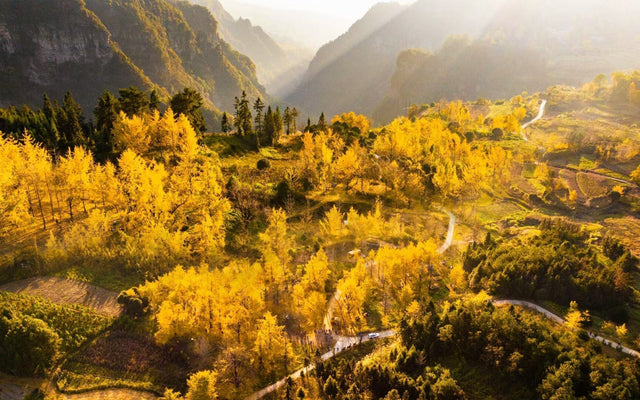 Top 10 Places to Visit in October in China: Your Ultimate Autumn Travel Guide (2025-2026 Edition)