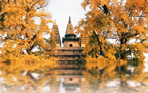 Your Ultimate Guide to China Visa-Free Travel in 2025/2026