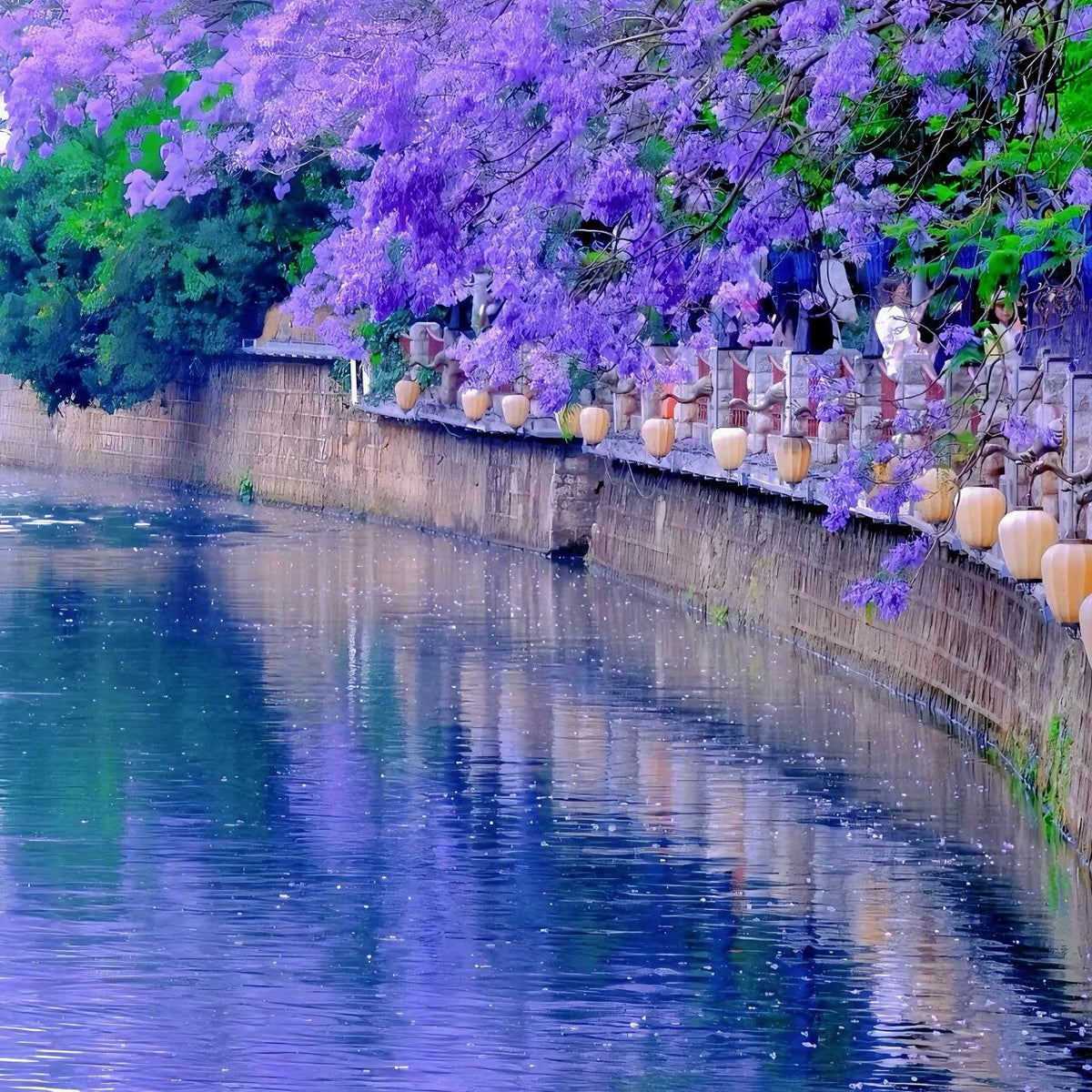 Blooming Wonders and Ancient Trails: The Ultimate China Spring Travel ...