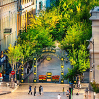 Harbin Shenyang 6D5N Mini Small Group Tour