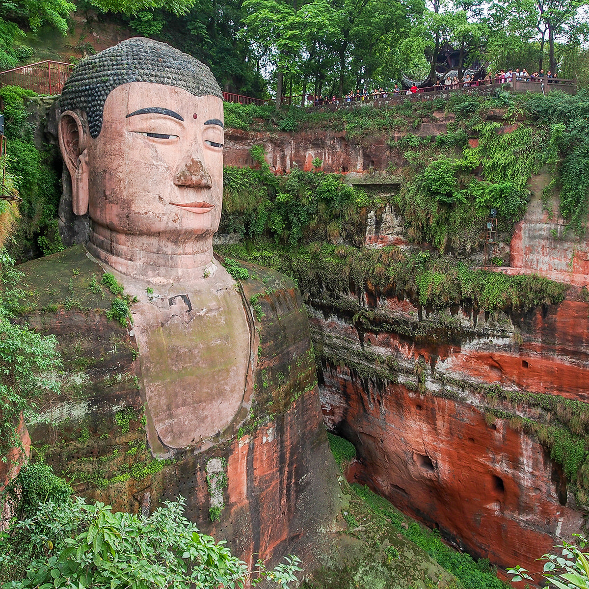 6-Day Private  Chengdu Tour