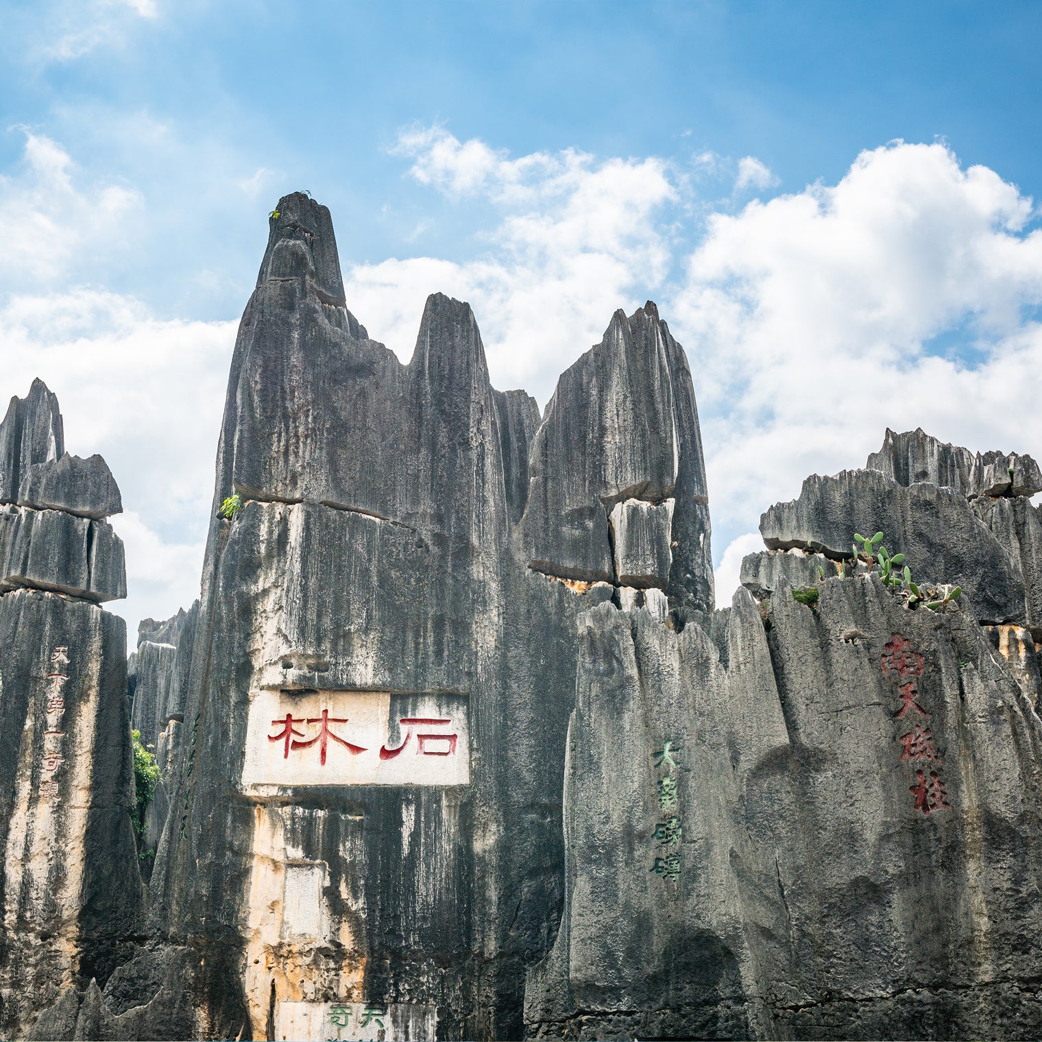 Kunming Dali Lijiang Xishuangbanna 8 Days 7 Nights Small Group Tour