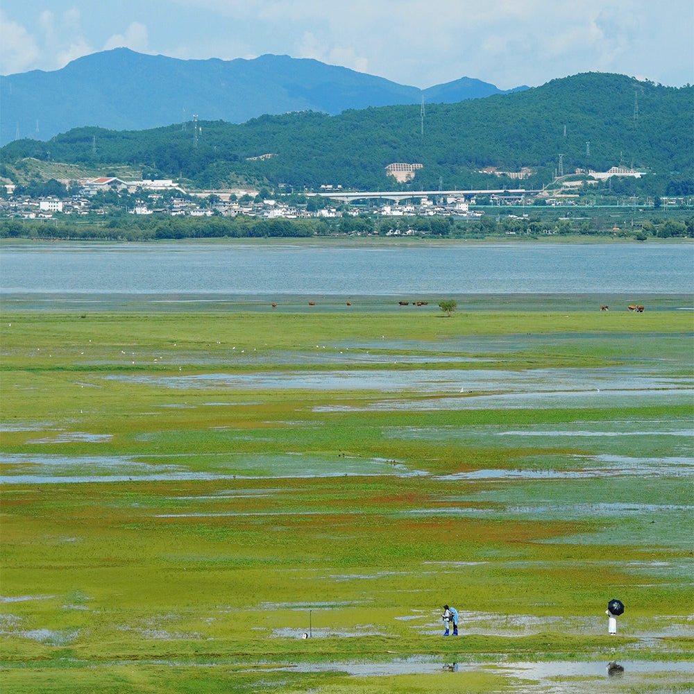 Lijiang Shangri-La Lugu Lake Quality Tour 7 Days 6 Nights