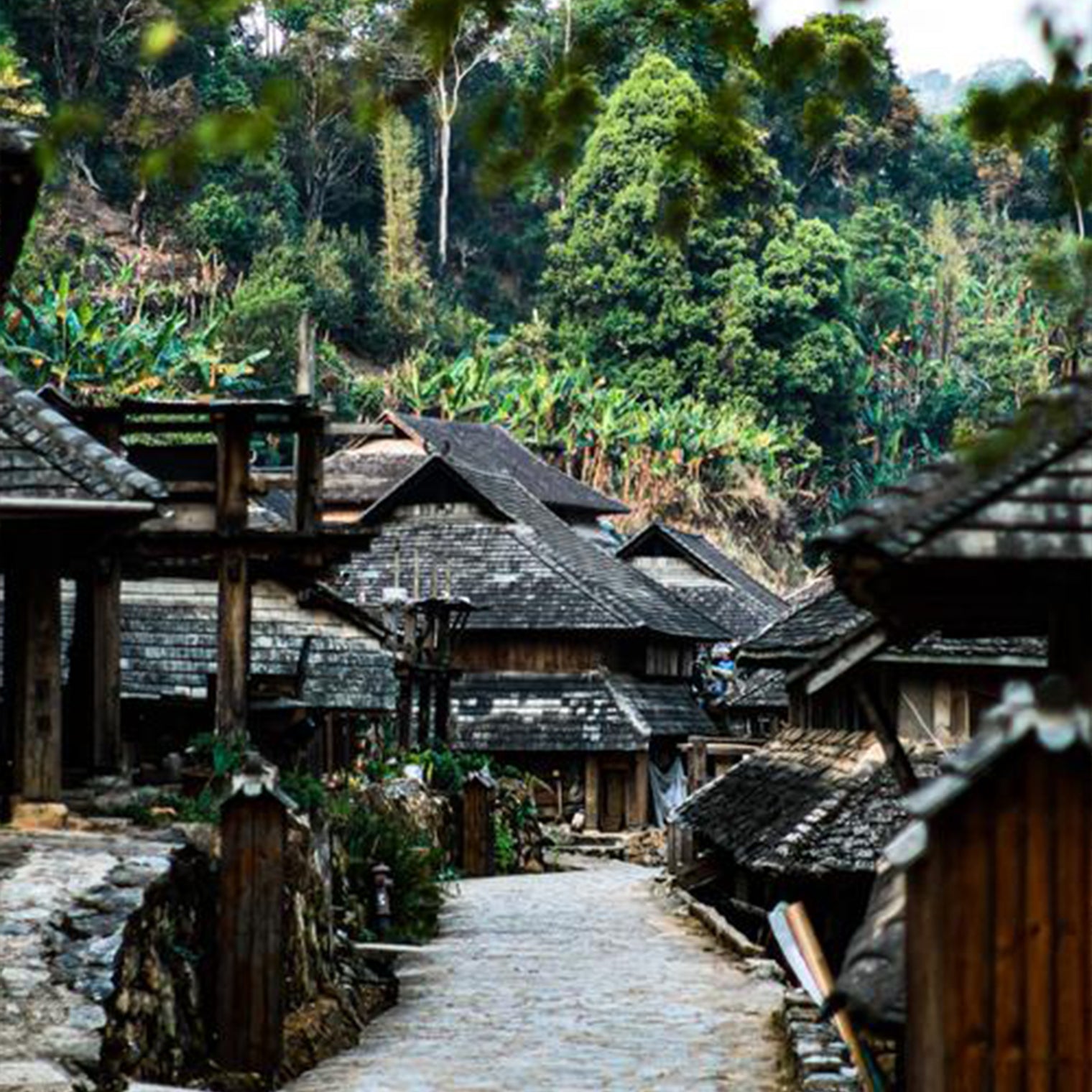 Kunming Dali Lijiang Xishuangbanna 8 Days 7 Nights Small Group Tour