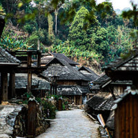 Kunming Dali Lijiang Xishuangbanna 8 Days 7 Nights Small Group Tour
