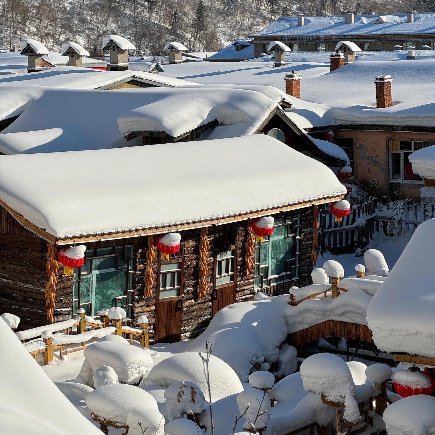 Harbin Xuexiang 6D5N Small group tour
