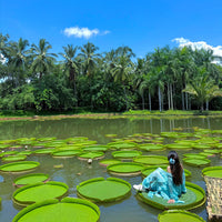 Yunnan Xishuangbanna 5 Days and 4 Nights Private Tour