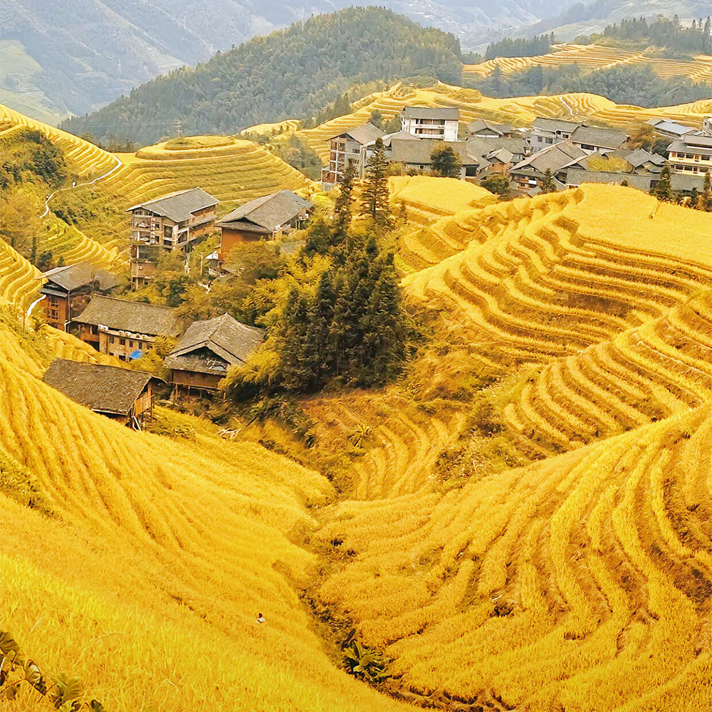 6 Days Tour Guilin - Longsheng - Sanjiang Nationalities Village - Yangshuo