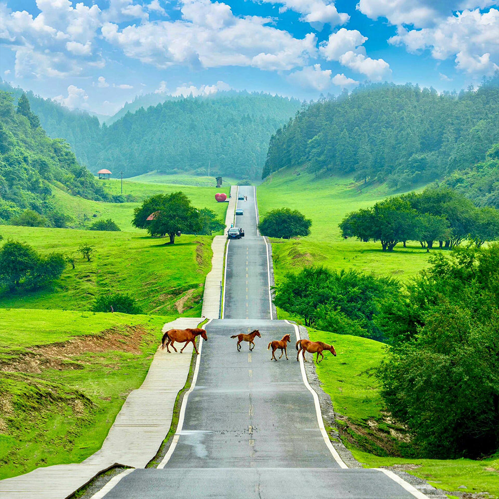 Chongqing 5D4N  Package Tour