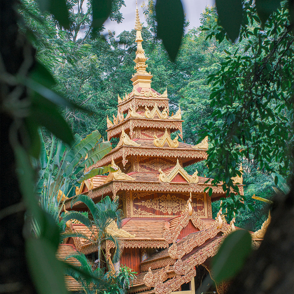 Yunnan Xishuangbanna 5 Days and 4 Nights Private Tour