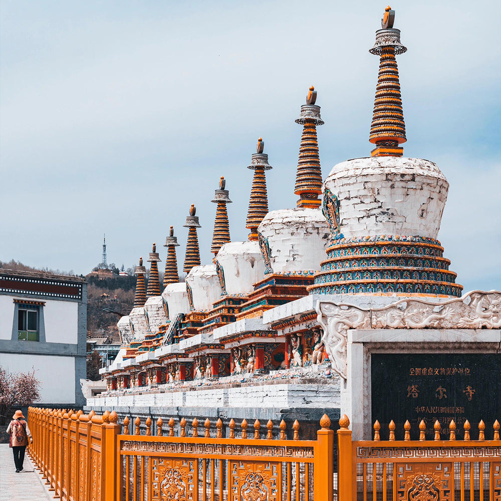 Gansu Qinghai 8 Days 7 Nights Package Tour