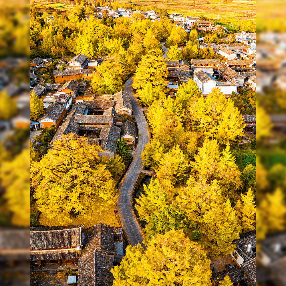 Kunming Mangshi Tengchong 8 Days 7 Nights Tour