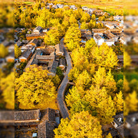 Kunming Mangshi Tengchong 8 Days 7 Nights Tour