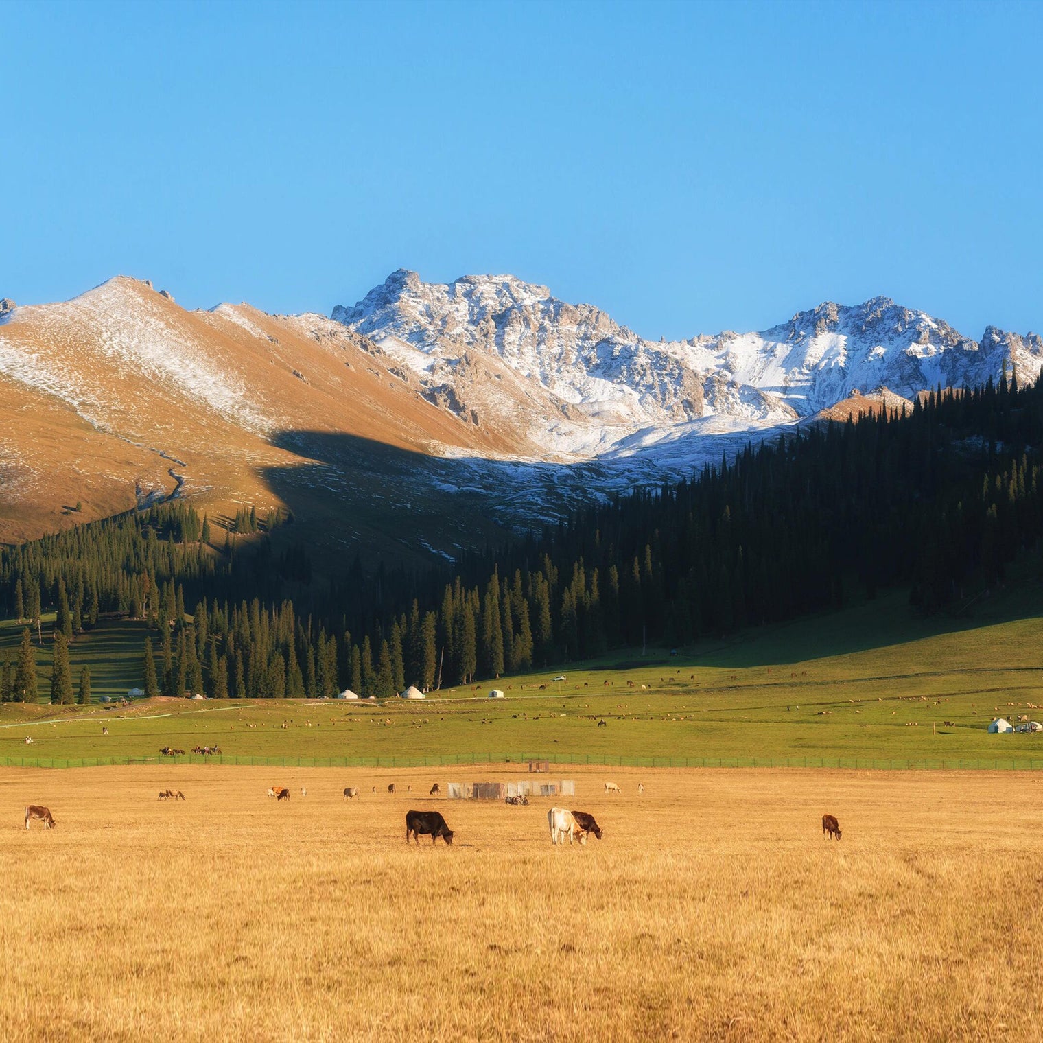 Xinjiang Kanas Yining Mini Small Group Tour