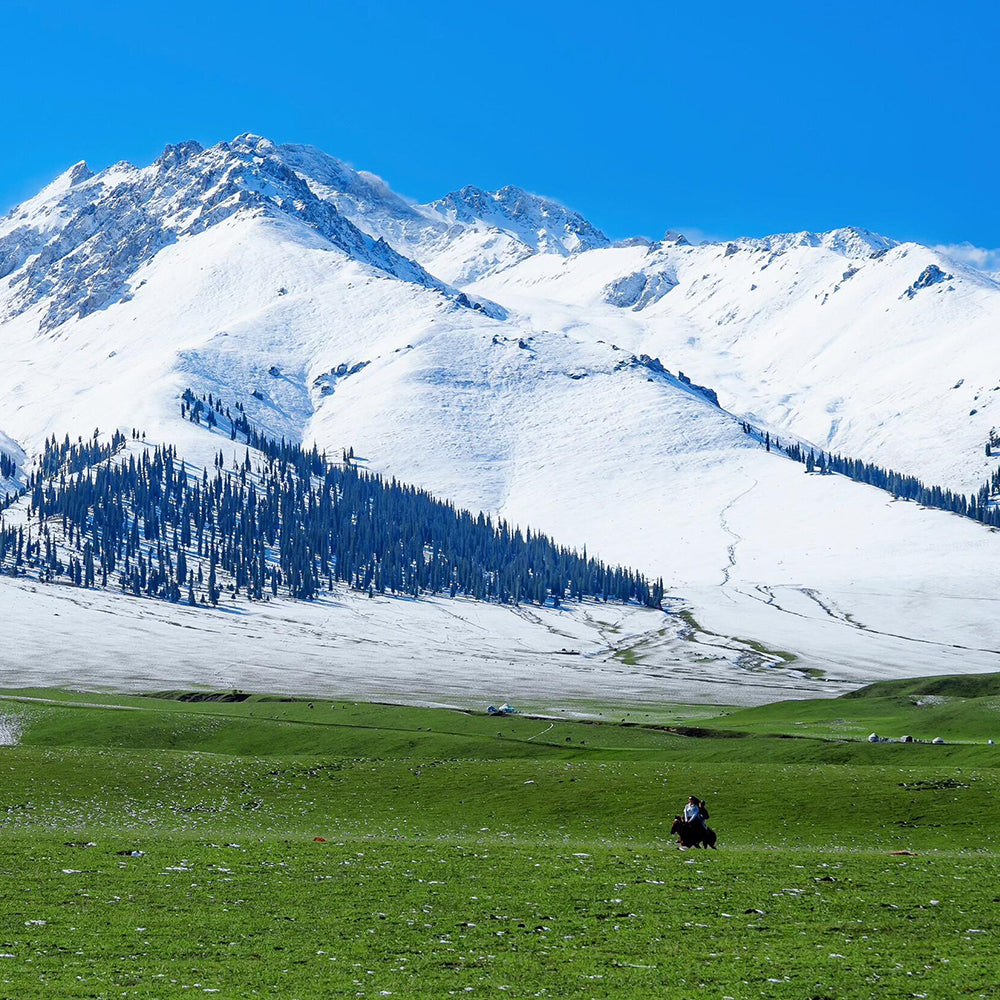 11 Days Urumqi-Burqin-Kanas Lake-Hemu-Altai-Kuitun-Huocheng-Yining-Nalati Grassland-Korla-Yanqi-Urumqi