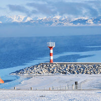 8 Days Urumqi Private Tour ；Sailimu Lake - Yining - Nalati National Forest Park - Horgos - Kuitun - Urumqi