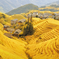 4 Days Guilin - Longsheng Rice Terraces - Yangshuo