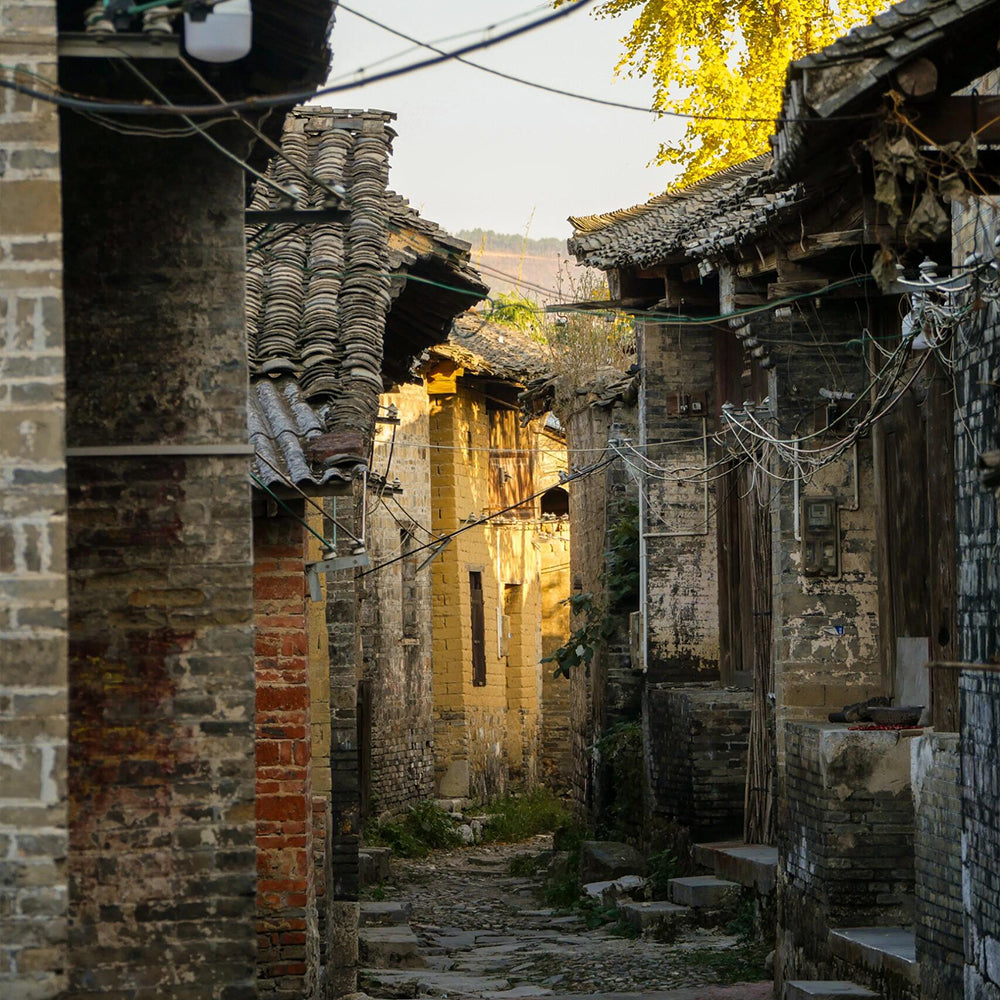4 Days Guilin - Longsheng Rice Terraces - Yangshuo