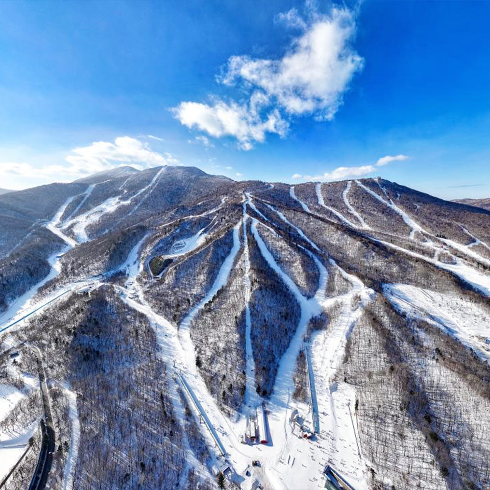 Harbin Shenyang 6D5N Mini Small Group Tour