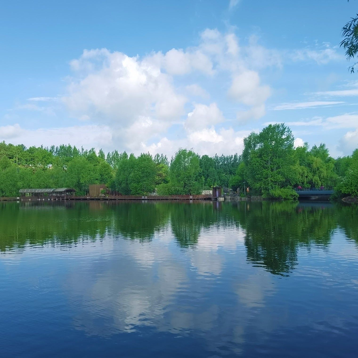Harbin  Jilin 6D5N Small Group Tour