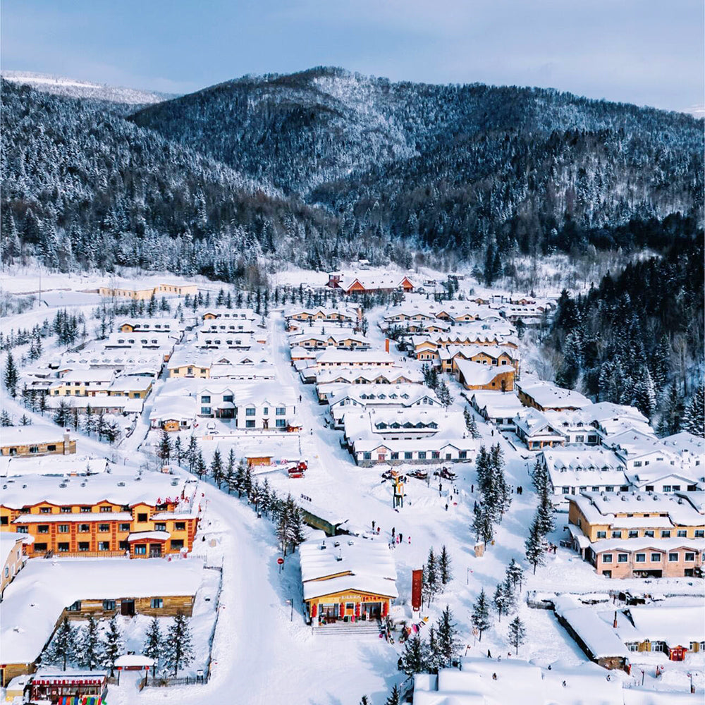 Harbin Shenyang 6D5N Mini Small Group Tour