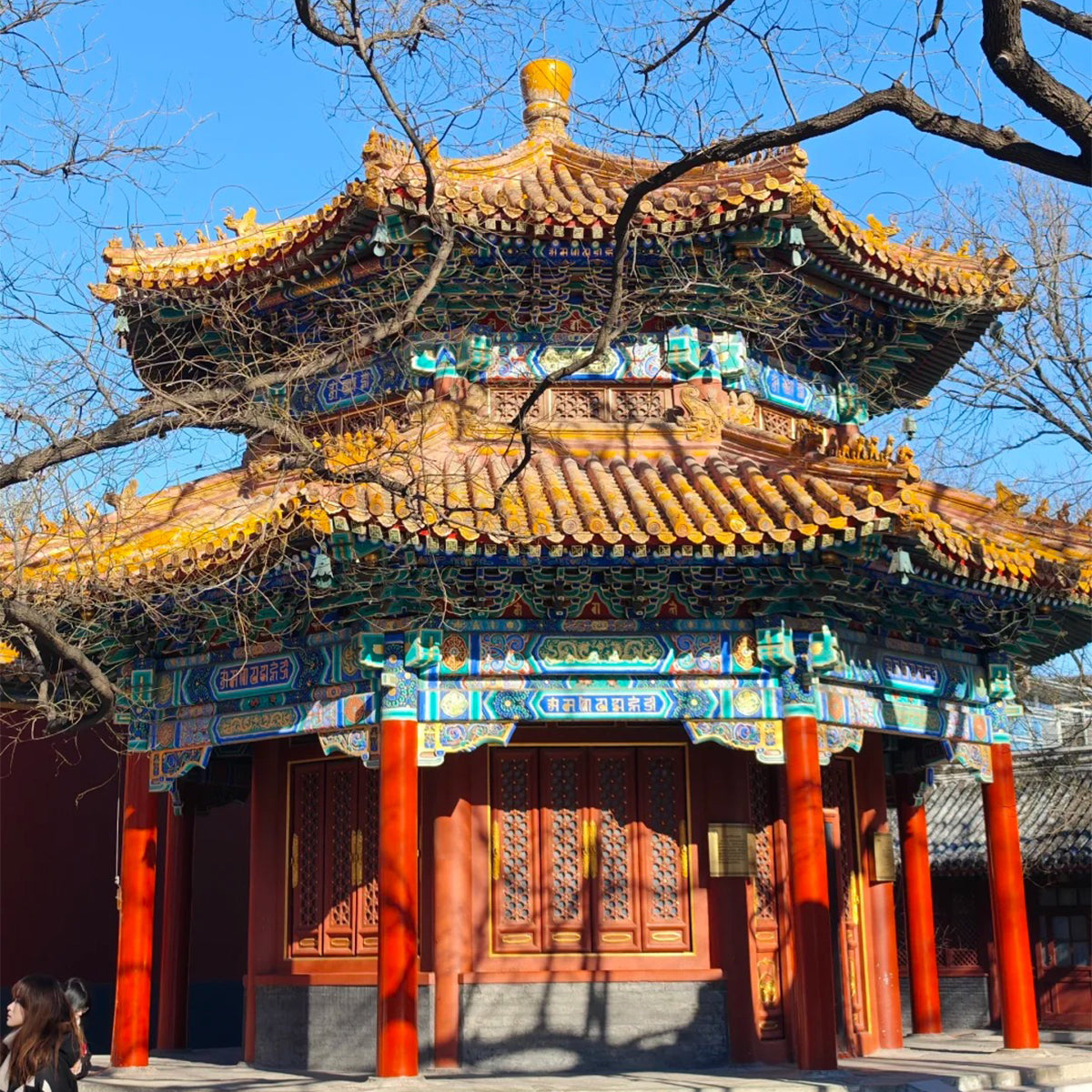 4-Day Beijing Highlights Tour: Great Wall, Forbidden City & Panda Experience