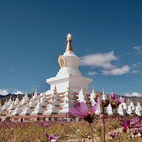 7D6N Western Sichuan Mini Small Group Tour