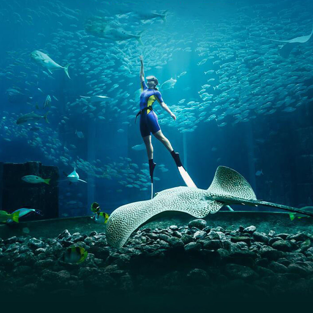 Hainan 5D4N Package Tour