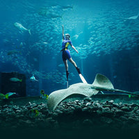 Hainan 5D4N Package Tour