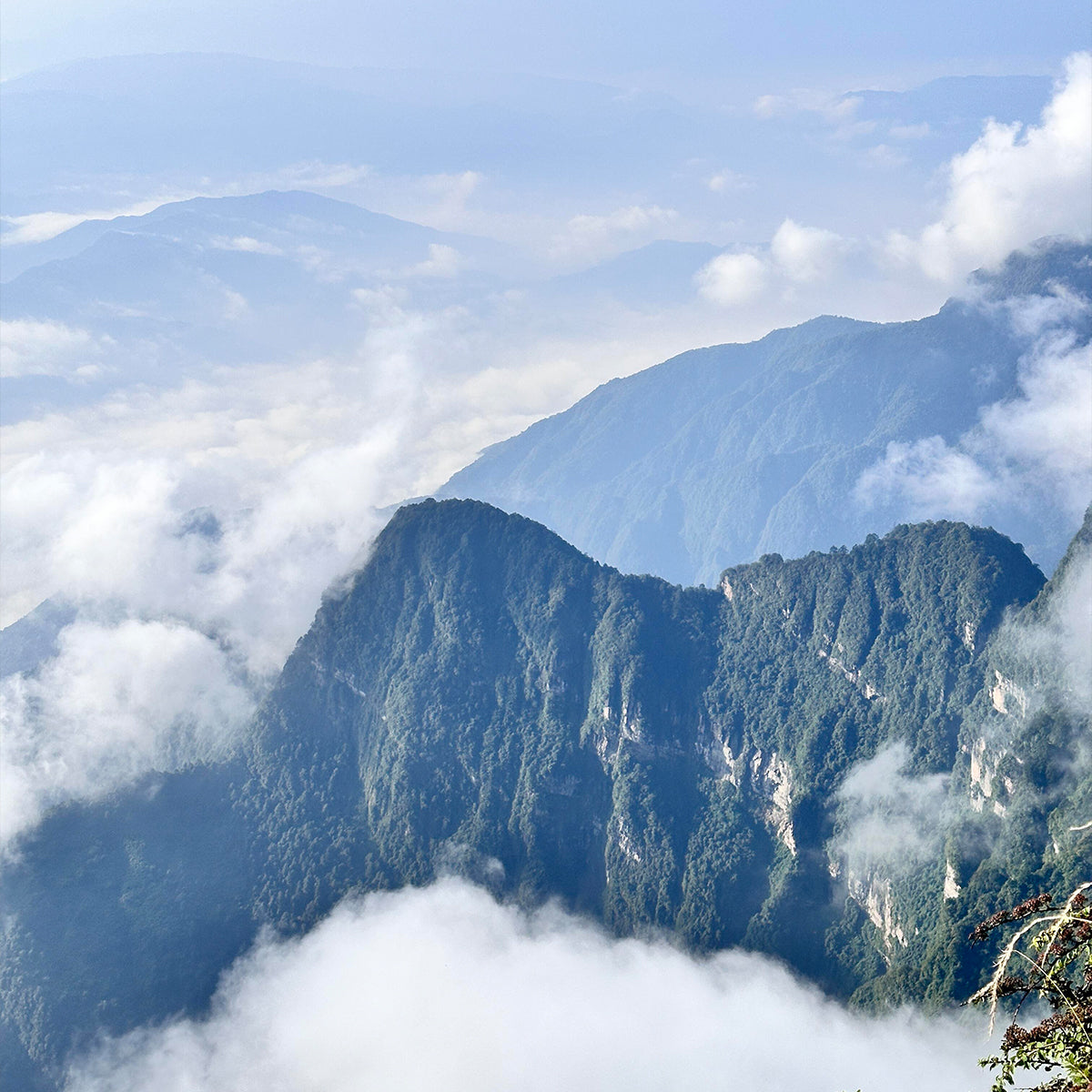 6-Day Private  Chengdu Tour