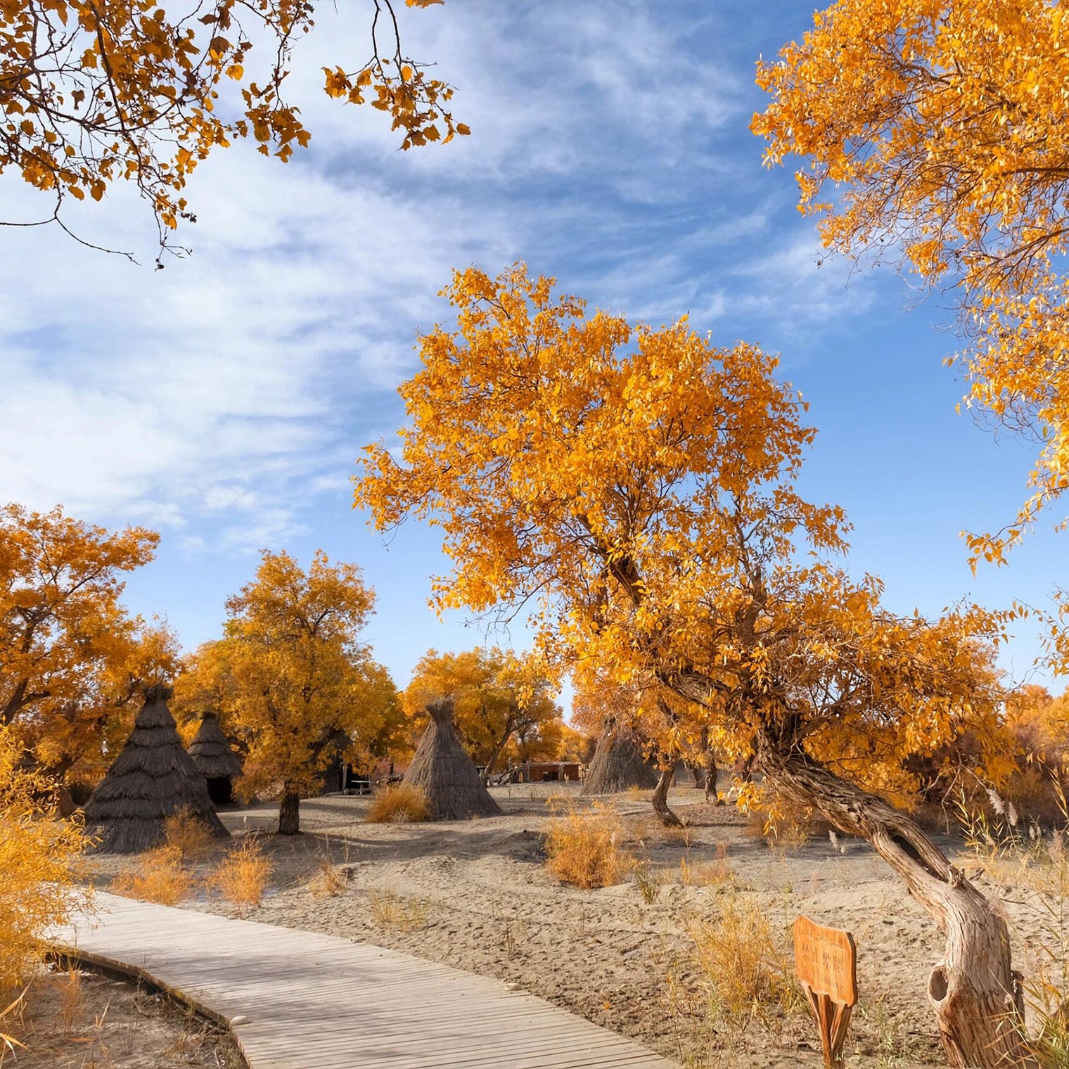 Southern Xinjiang Mini Small Group Tour