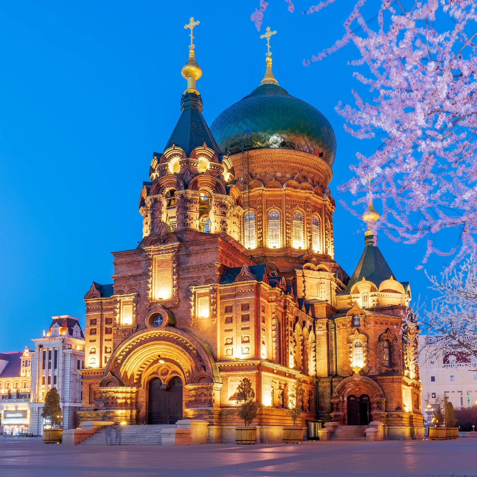 Changchun Harbin 6D5N Small Group Tour