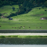Lijiang Shangri-La Lugu Lake Quality Tour 7 Days 6 Nights