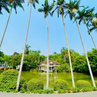 Yunnan Xishuangbanna 5 Days and 4 Nights Private Tour