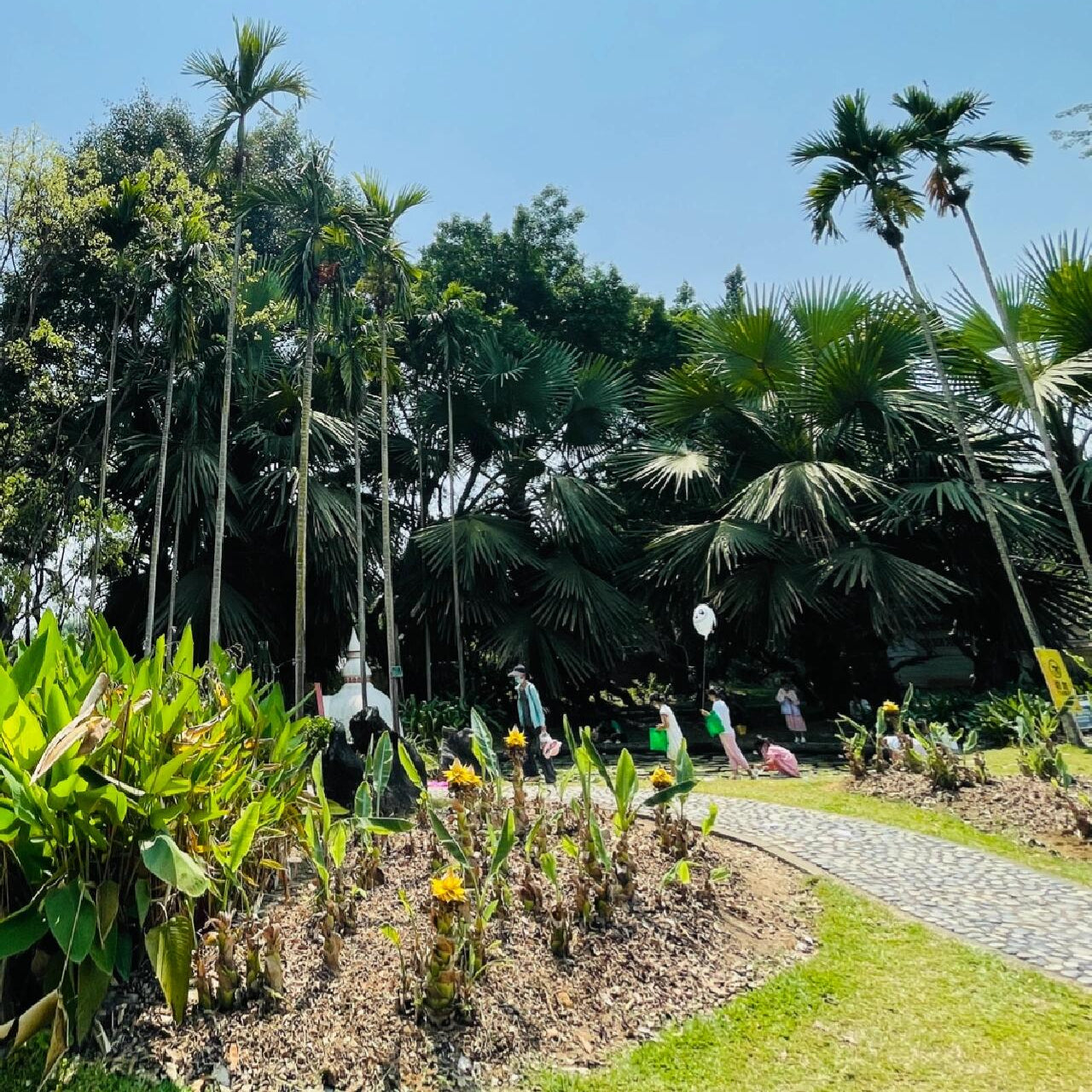 Yunnan Xishuangbanna 5 Days and 4 Nights Private Tour
