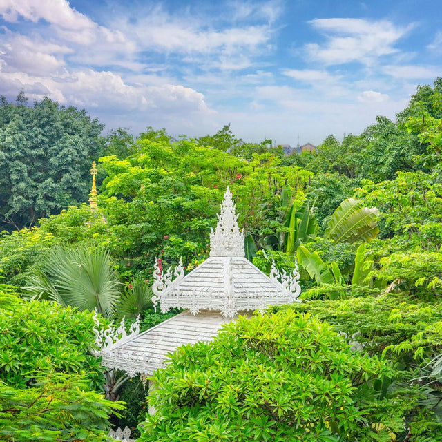 Yunnan Xishuangbanna 5 Days and 4 Nights Private Tour