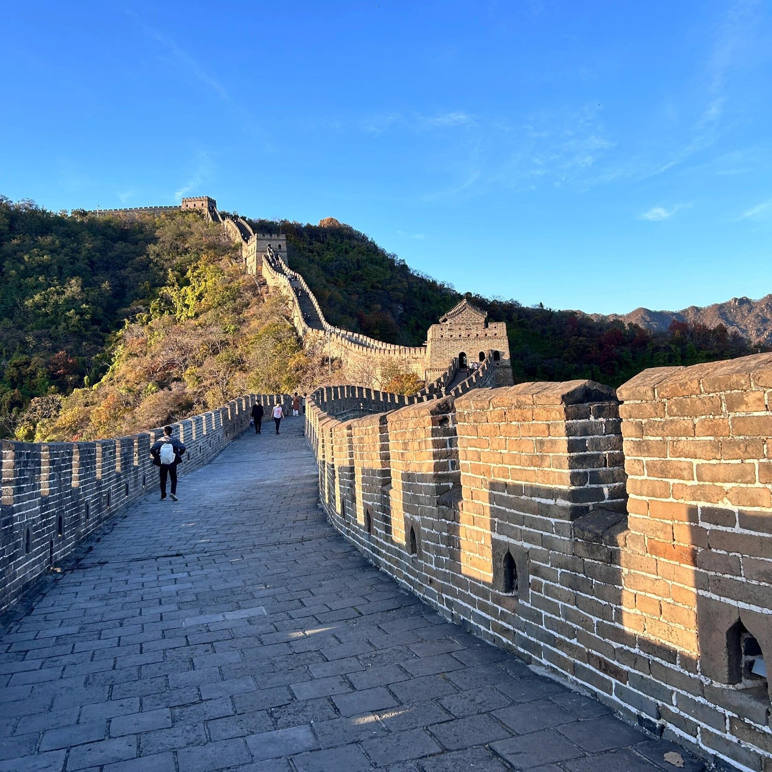 11-Day Classic Journey Through Shanghai, Zhangjiajie, Xian & Beijing