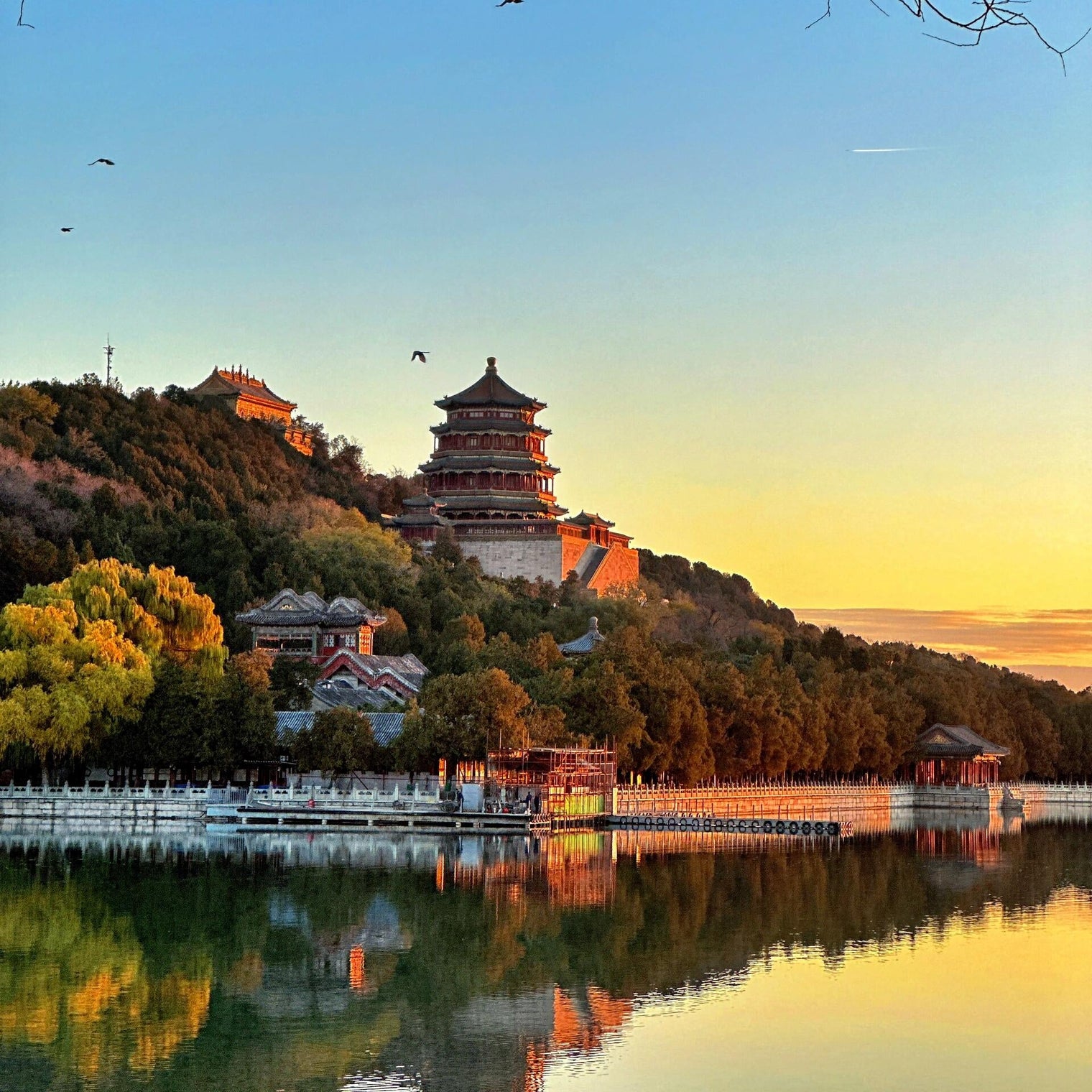 4-Day Beijing Highlights Tour: Great Wall, Forbidden City & Panda Experience