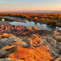 8 Days Urumqi Private Tour ；Sailimu Lake - Yining - Nalati National Forest Park - Horgos - Kuitun - Urumqi