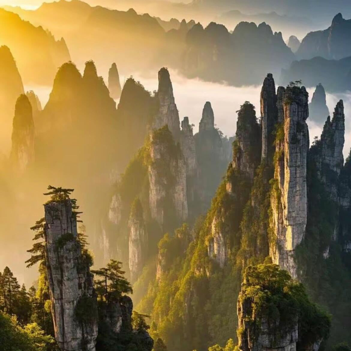 4 Days Zhangjiajie Exciting Adventure with Glass Bridge and Tianmen Mountain