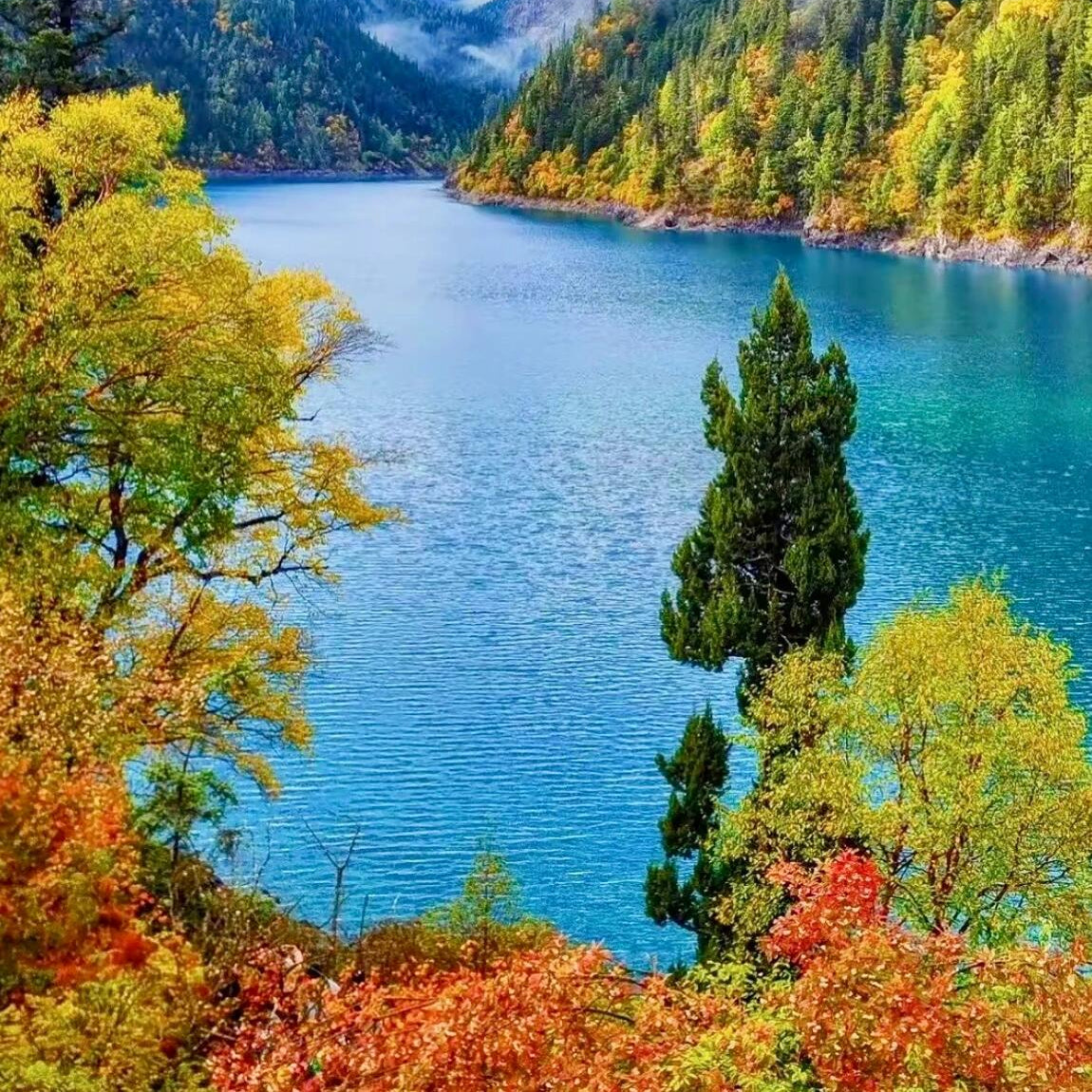 6-Day Private  Chengdu Tour
