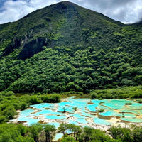 6-Day Private  Chengdu Tour