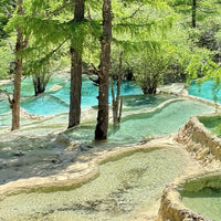 6-Day Private  Chengdu Tour