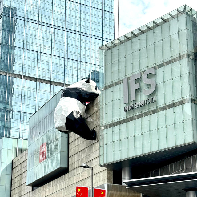 6-Day Private  Chengdu Tour